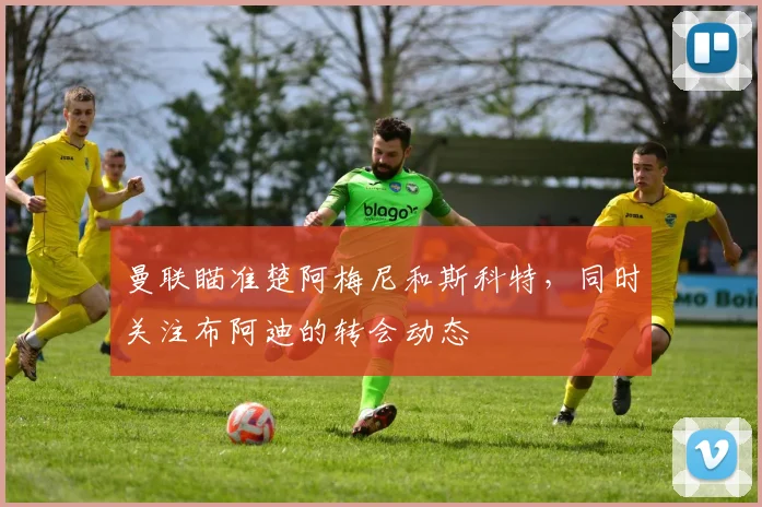 曼联瞄准楚阿梅尼和斯科特，同时关注布阿迪的转会动态